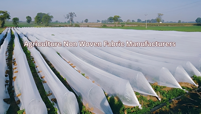 PP Non Woven Fabric