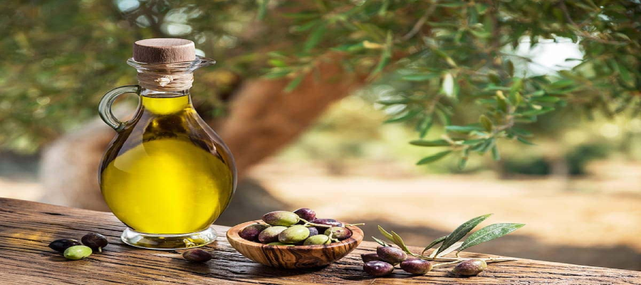 Olive Oil Fruit Plants