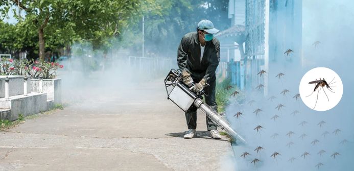 Pest Control Spray Services