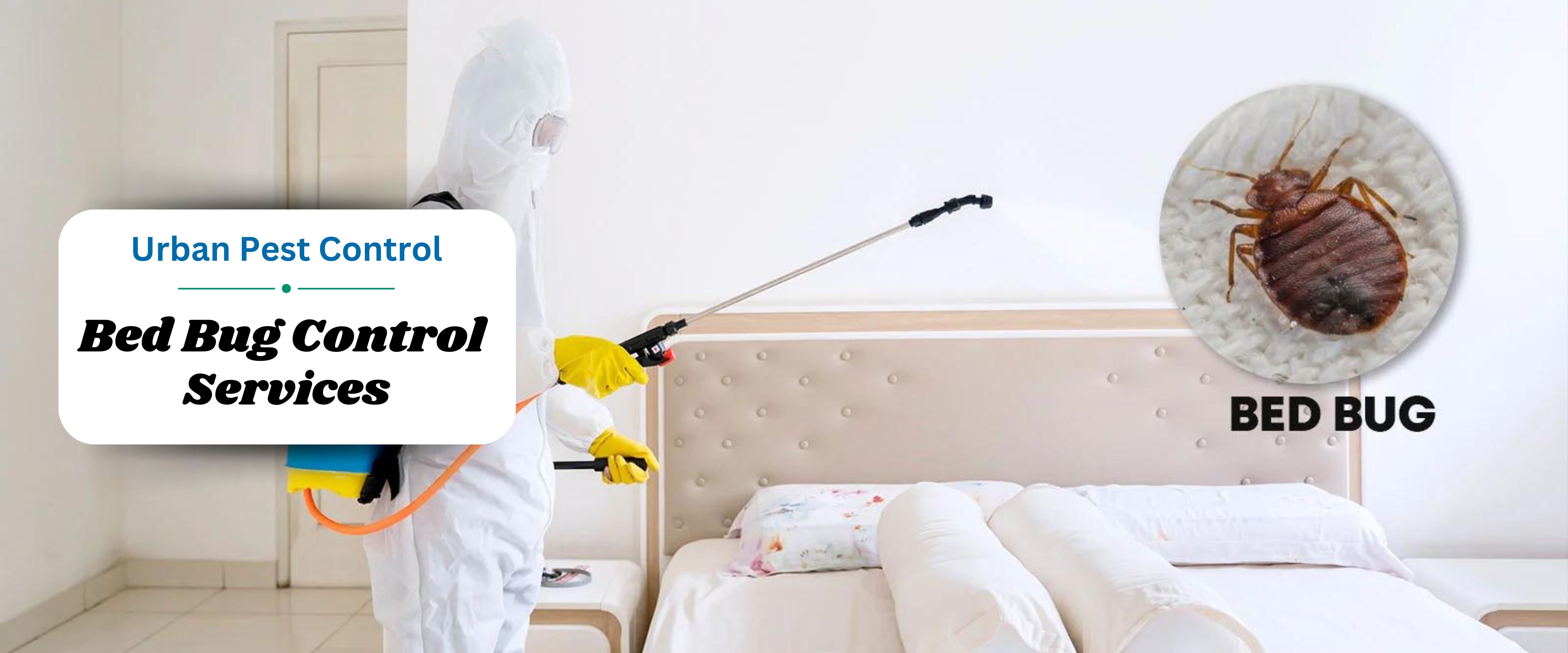 Bed Bug Control Services