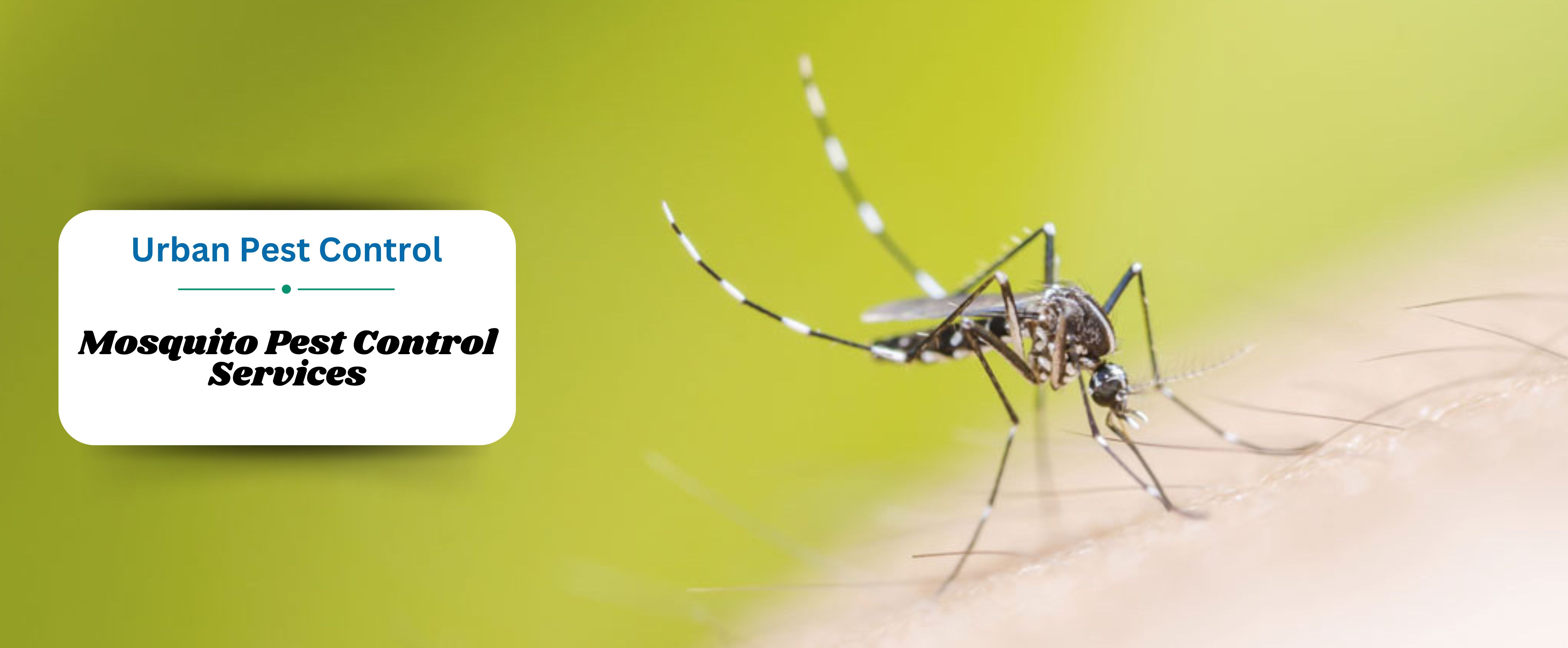 Mosquito Pest Control Services