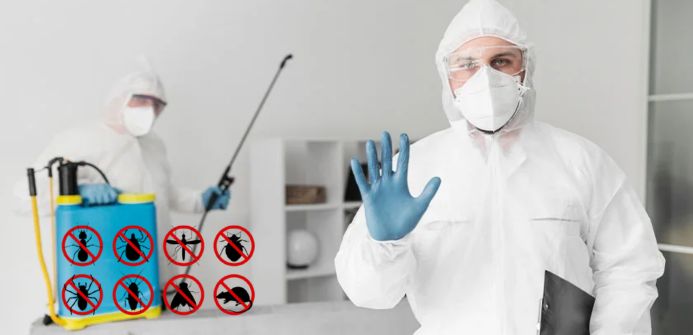 Pest Control Services in Faridabad