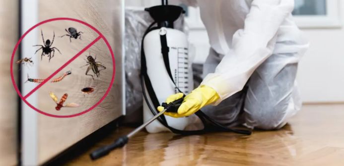 Pest Control Services Near Me