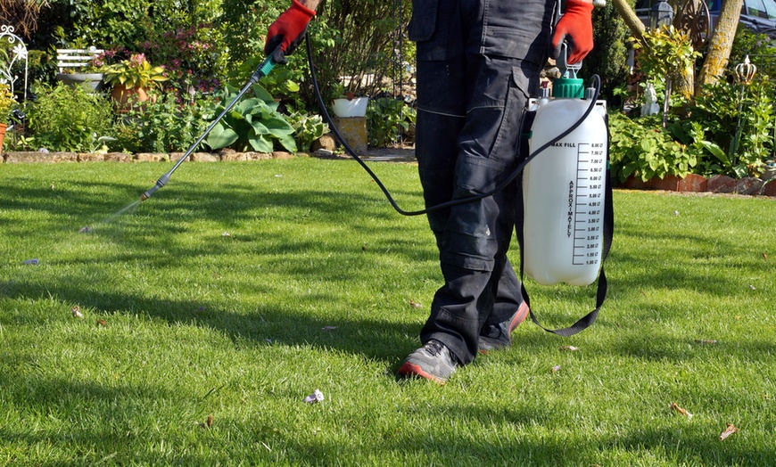 Pest Control Spray Services in Faridabad