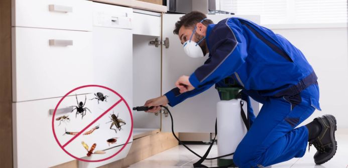 Pest Control Services