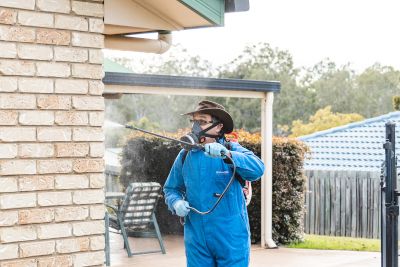 Pest Control Spray Services 1